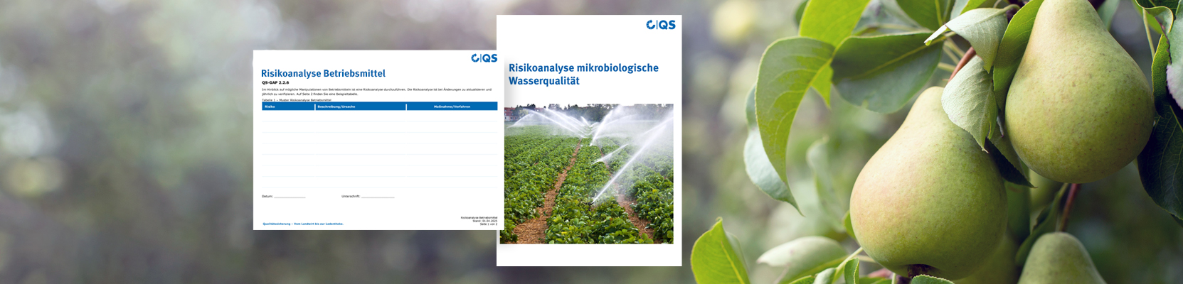 Header-Bild