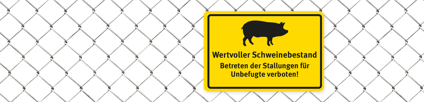 Header-Bild