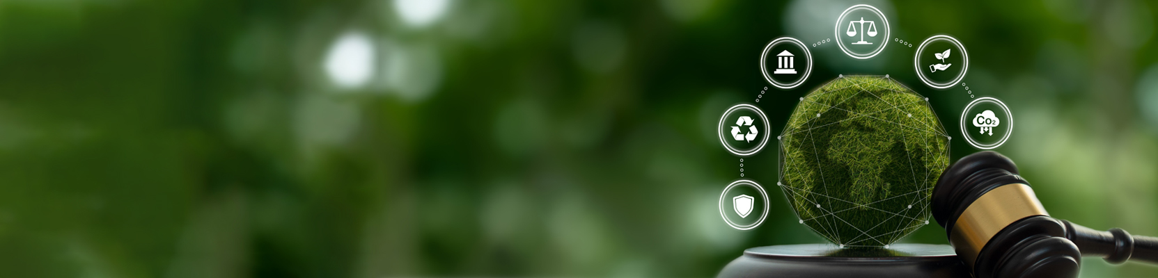 Header-Bild
